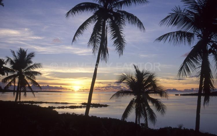 Island;Sunset;sky;sun;water;palm trees;sillouettes;ocean;blue sky;pohnpei;micronesia